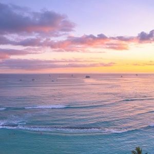 Meet your Posher, Nyla